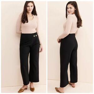 NWOT ANTHRO RITA ROW wide leg high rise ankle pant in black - 34/4